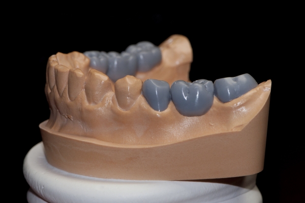 Анатомическая форма зубов - единство функции и формы. Моделирование зубов из пластилина.