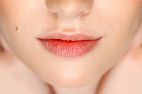 Заболевания красной каймы губ  как индиктор  общего состояния организма