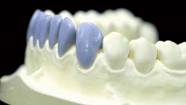 Анатомическая форма зубов - единство функции и формы. Моделирование зубов из пластилина